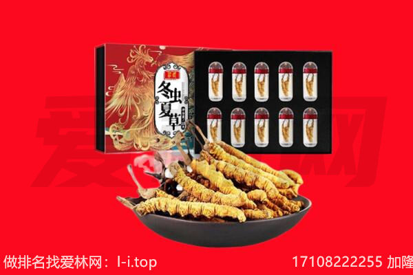 周口回收虫草.jpg